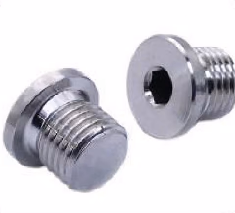 Flanged Hex Socket Plug — FerruleX stainless steel fittings